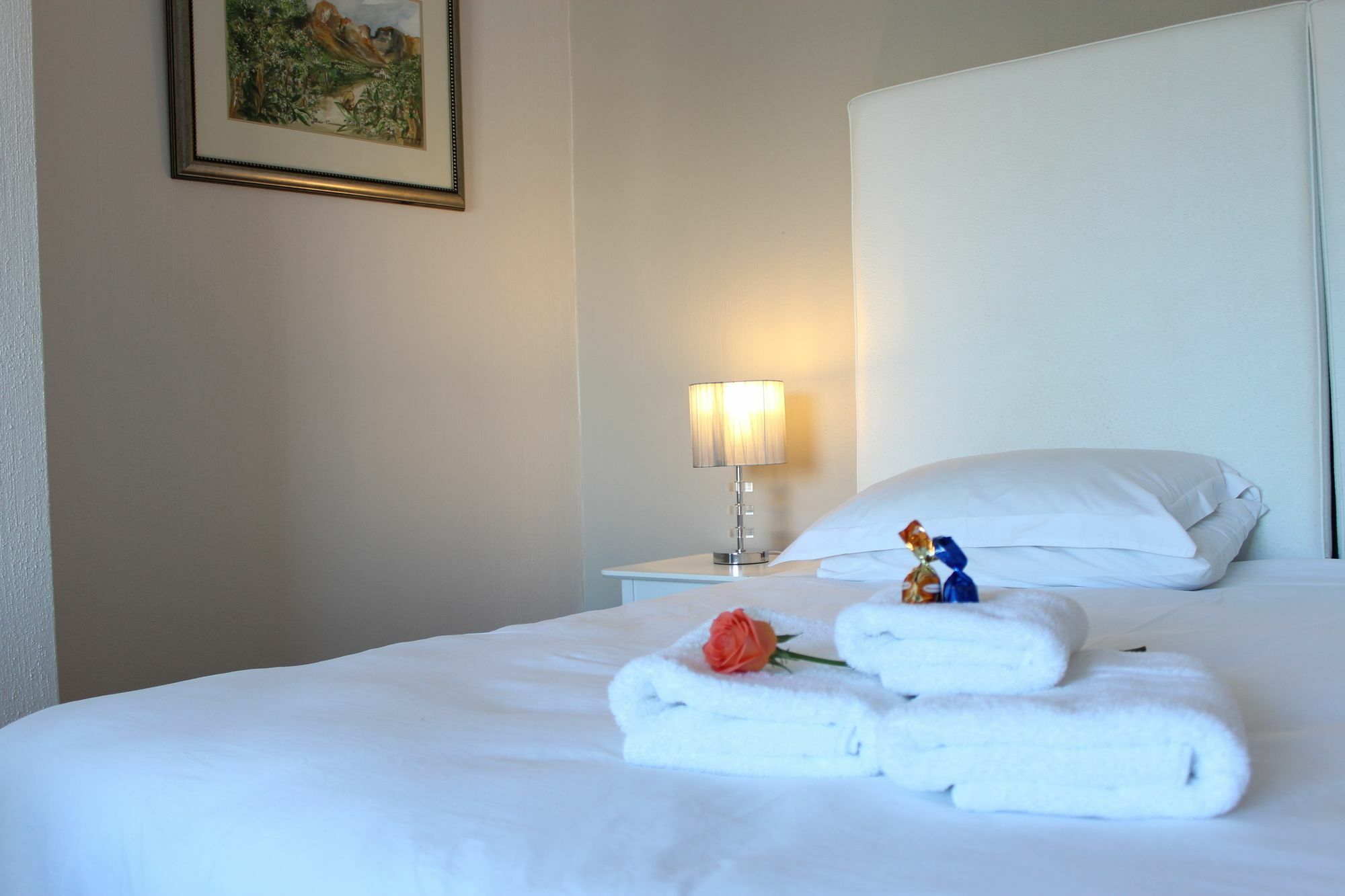 Saffron House Guesthouse كيب تاون المظهر الخارجي الصورة